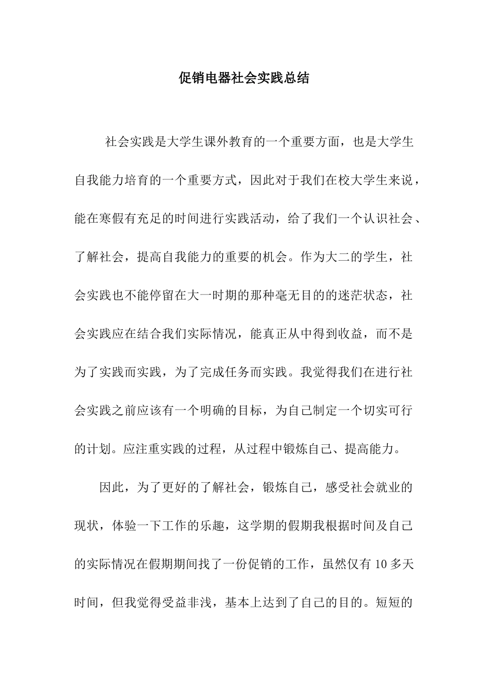 促销电器社会实践总结_第1页