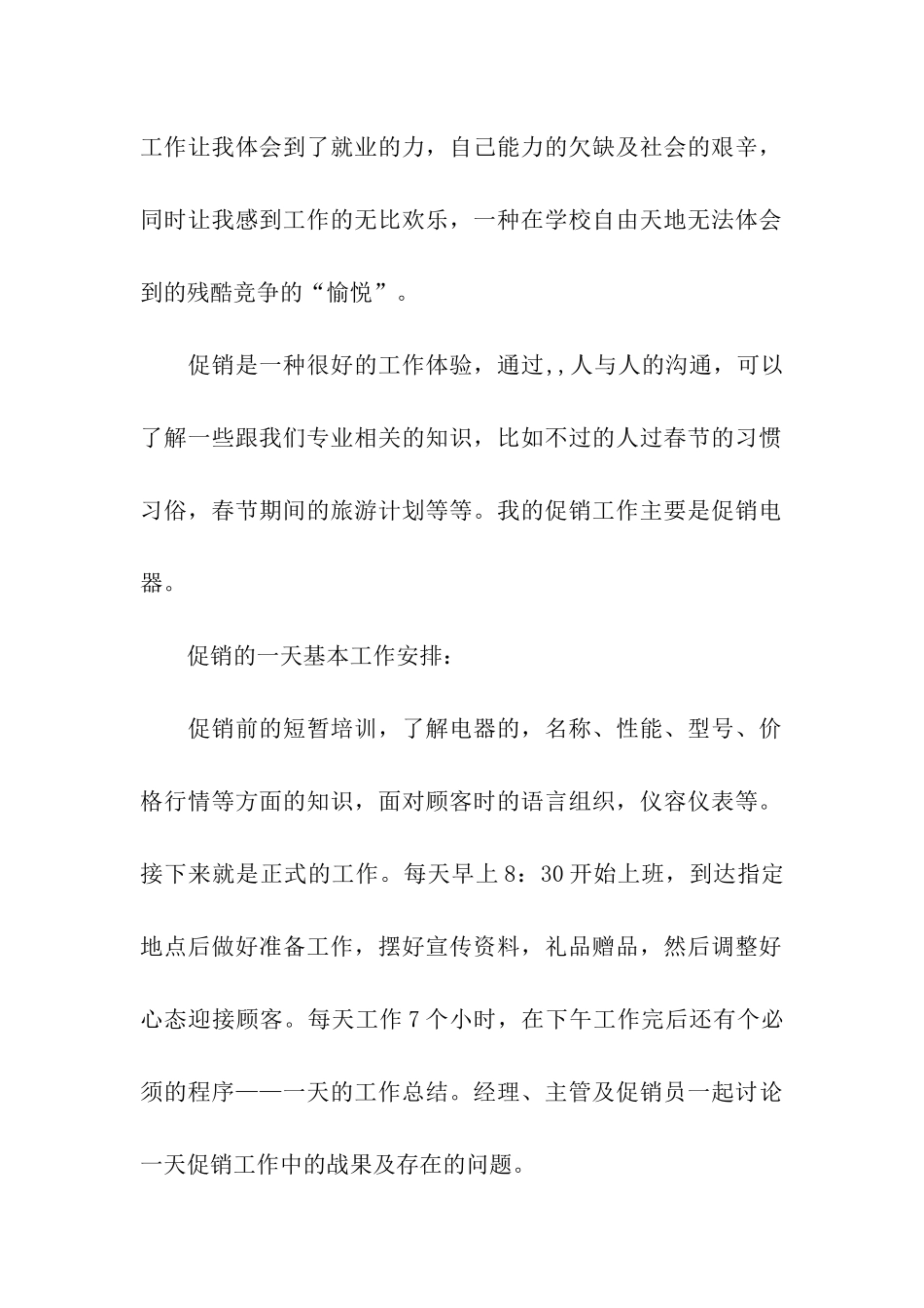 促销电器社会实践总结_第2页