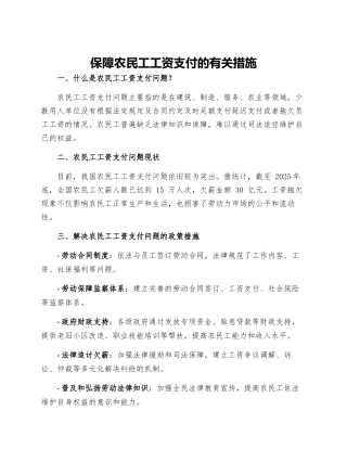 保障农民工工资支付的有关措施