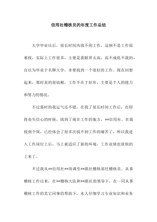 信用社稽核员的年度工作总结