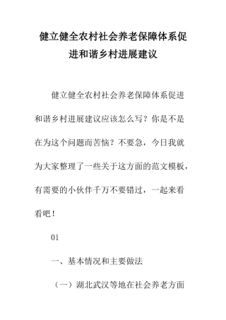 健立健全农村社会养老保障体系促进和谐乡村发展建议