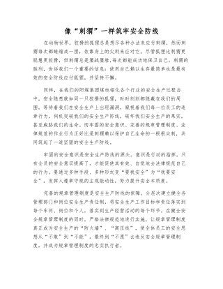 像“刺猬”一样筑牢安全防线