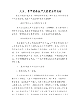元旦、春节安全生产大检查活动总结