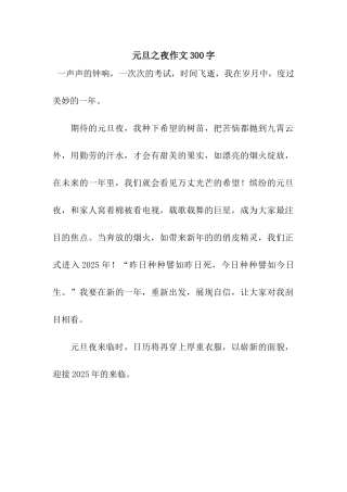 元旦之夜作文300字