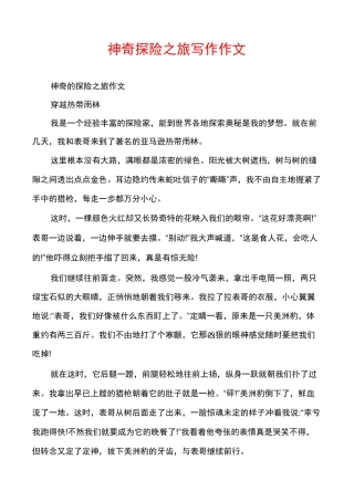 神奇探险之旅写作作文