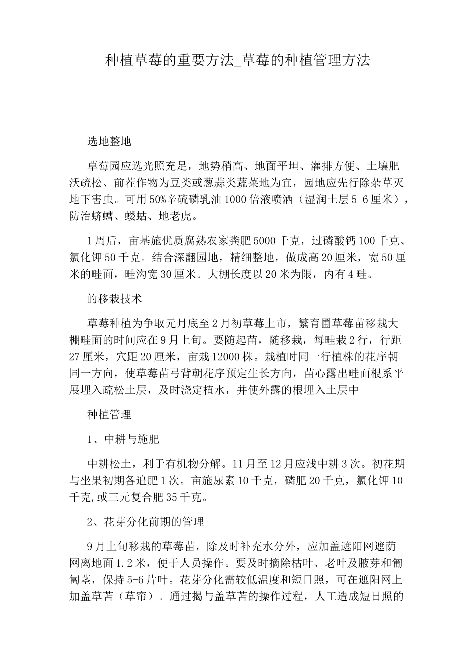 草莓的种植管理方法_第1页