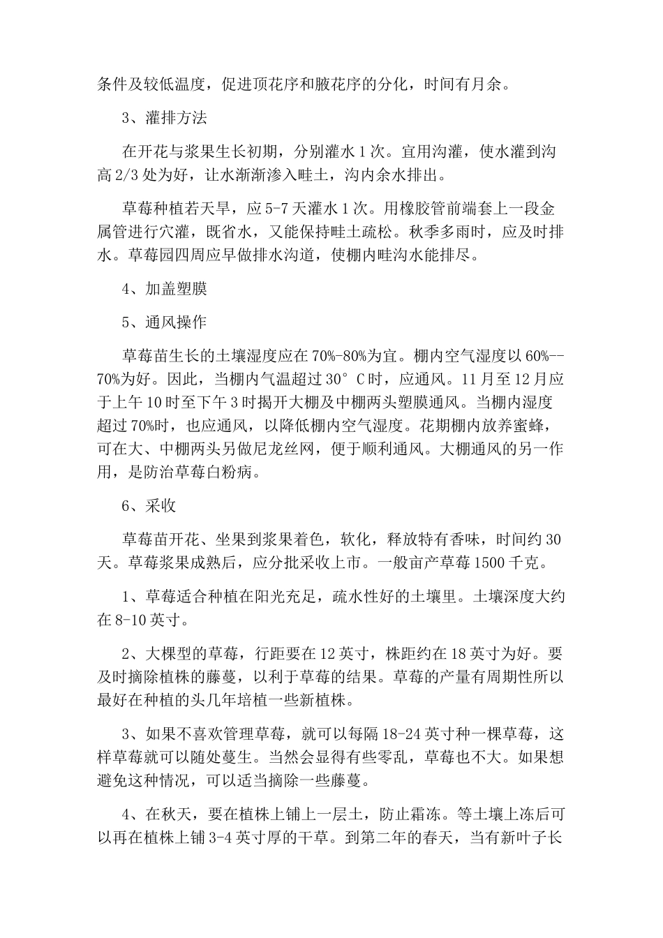 草莓的种植管理方法_第2页