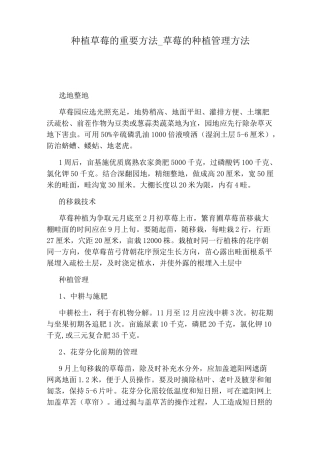 草莓的种植管理方法