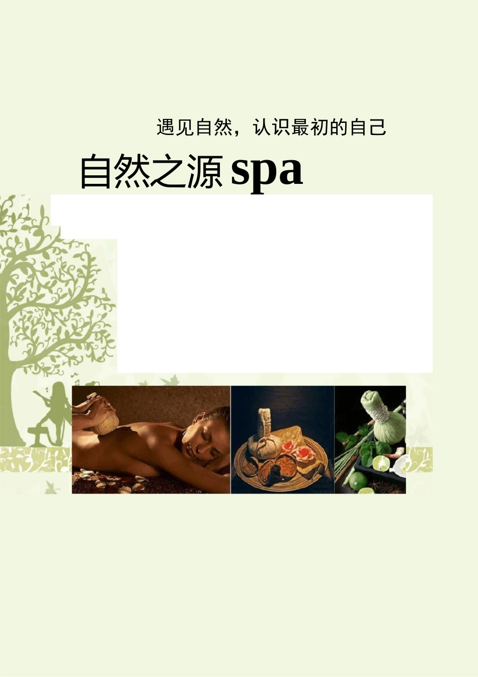美容院SPA会所价格表设定_第1页