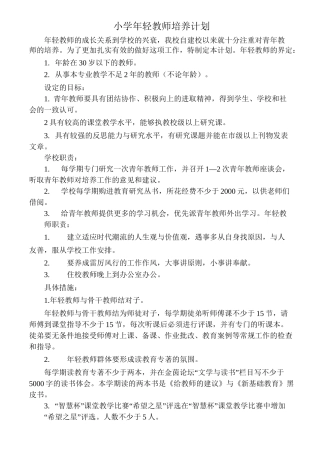小学年轻教师培养计划