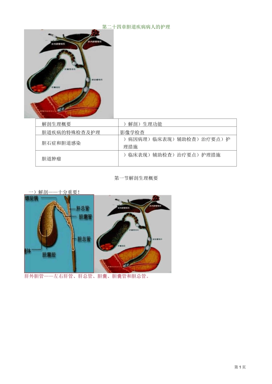 主管护师外科讲义：第二十四章 胆道疾病病人的护理_第1页