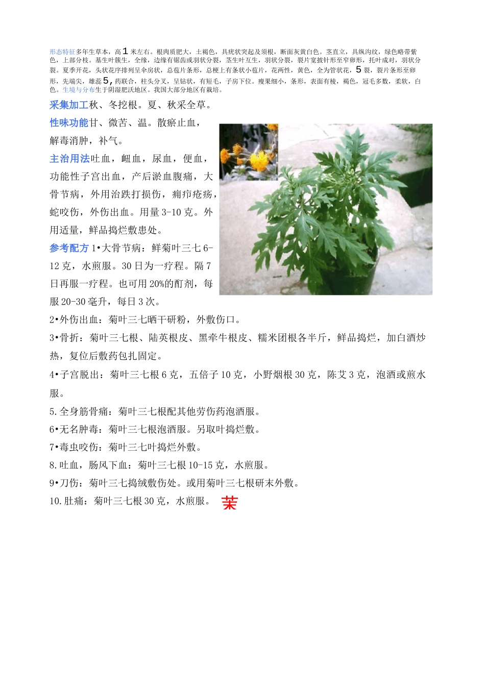 中草药彩色图片大全_第3页