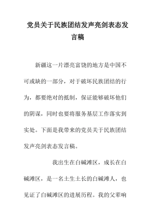 党员关于民族团结发声亮剑表态发言稿