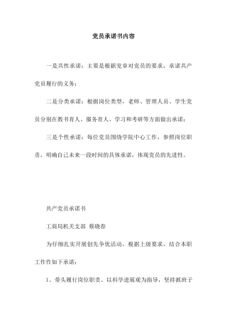 党员承诺书内容
