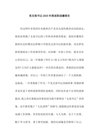 党支部书记2025年度述职述廉报告