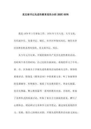 党支部书记先进性教育党性分析材料