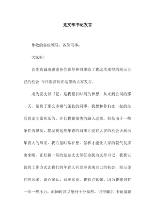 党支部书记发言