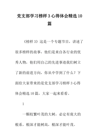 党支部学习榜样3心得体会精选10篇