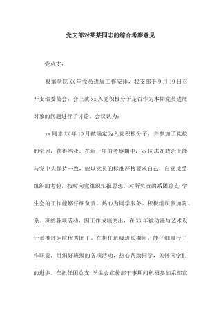 党支部对某某同志的综合考察意见