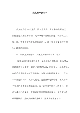 党支部申报材料