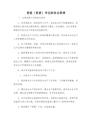 党组书记的安全职责