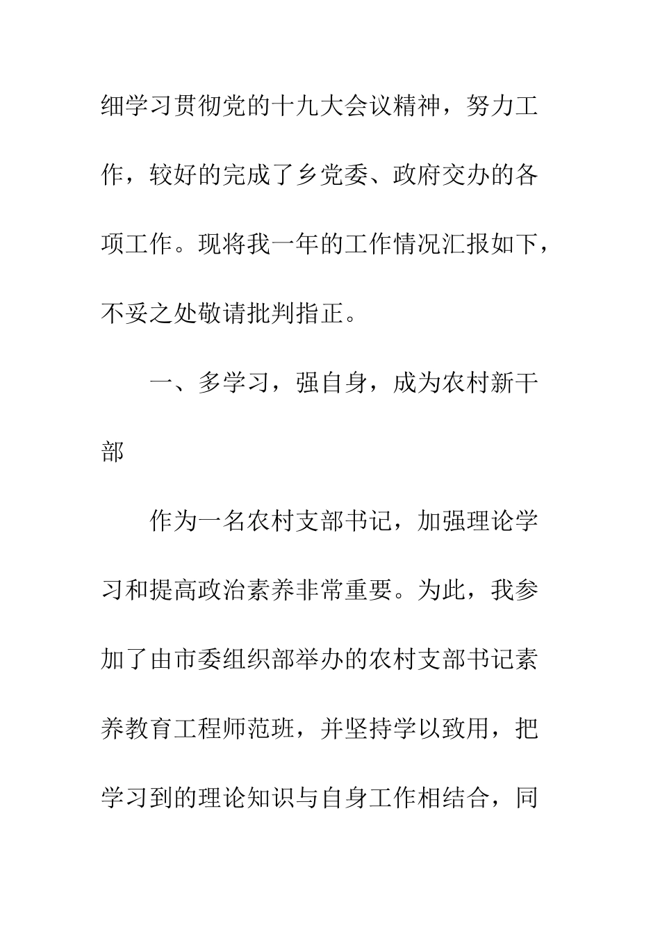党组织书记20XX年度述职报告_第2页