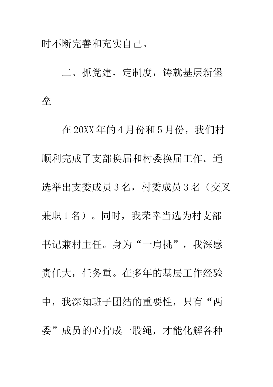 党组织书记20XX年度述职报告_第3页