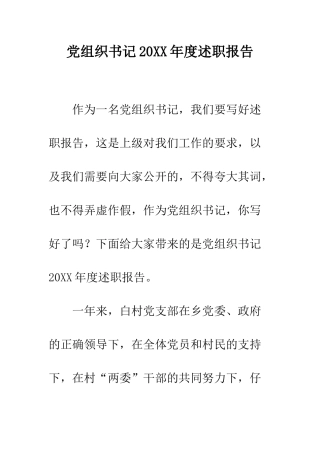 党组织书记20XX年度述职报告