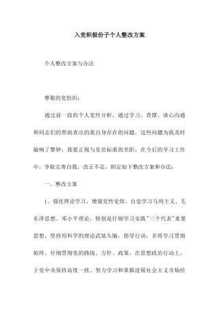 入党积极份子个人整改方案