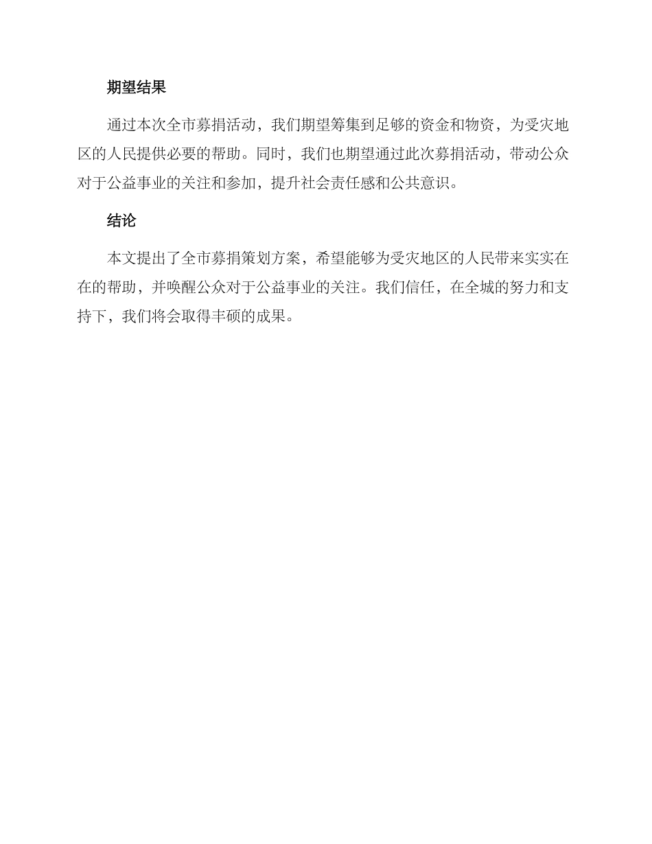 全市募捐策划方案_第3页