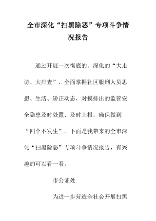 全市深化“扫黑除恶”专项斗争情况报告