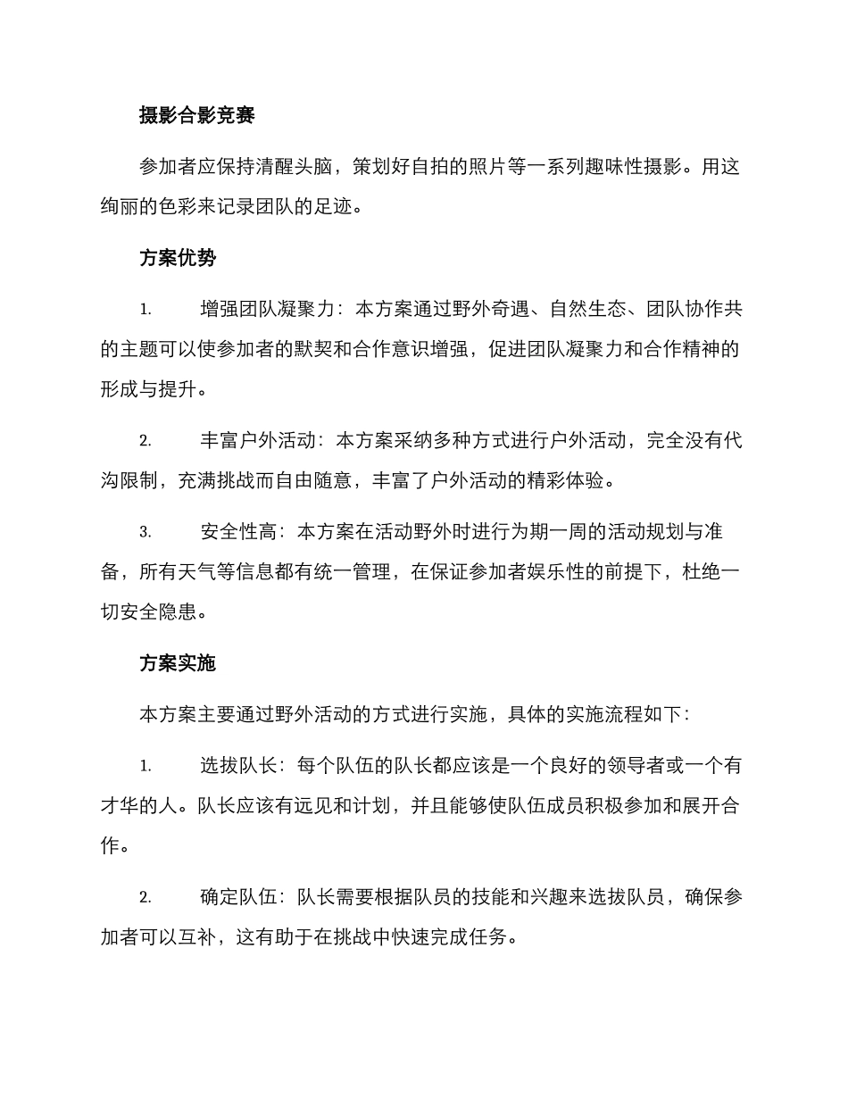 全新户外策划方案_第2页