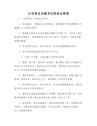 公司党总支副书记的安全职责