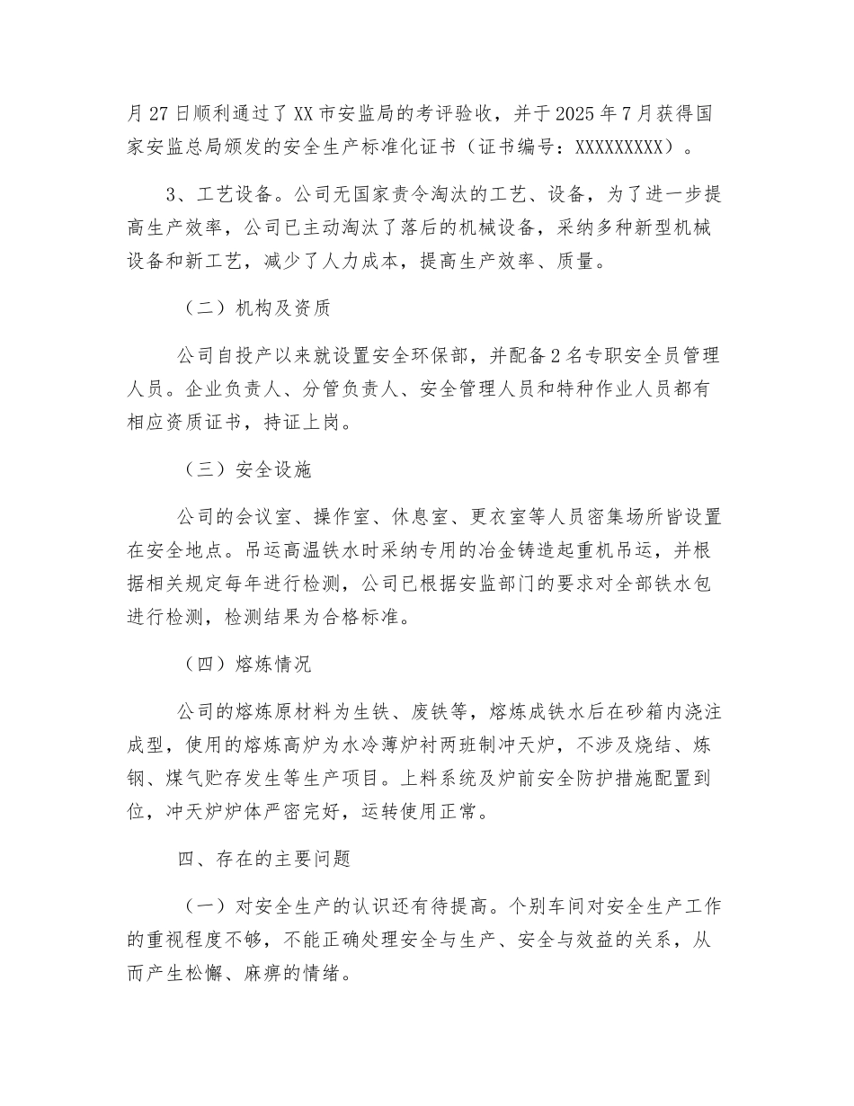 公司冶金企业安全生产专项整治工作总结_第2页