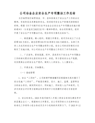 公司冶金企业安全生产专项整治工作总结