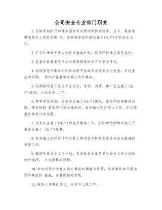 公司安全专业部门职责