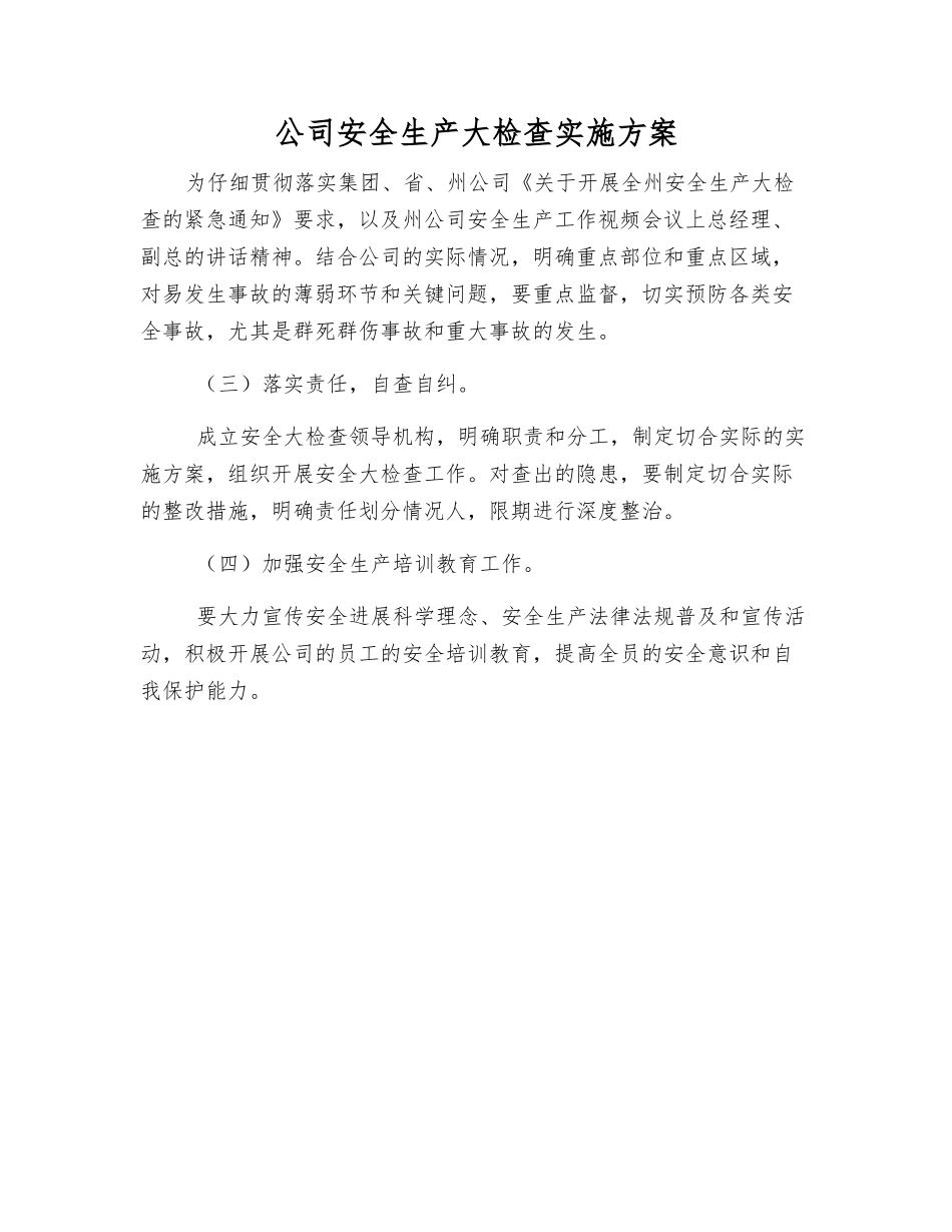 公司安全生产大检查实施方案_第1页