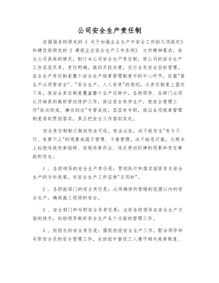 公司安全生产责任制