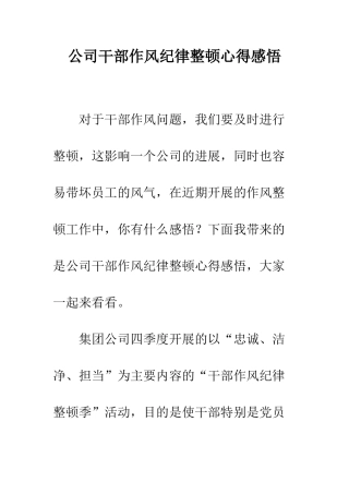 公司干部作风纪律整顿心得感悟