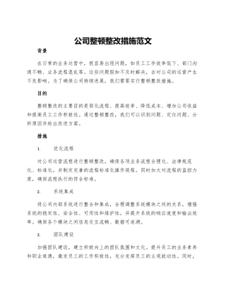 公司整顿整改措施范文