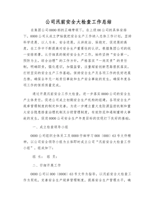 公司汛前安全大检查工作总结