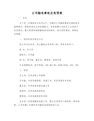 公司触电事故应急预案
