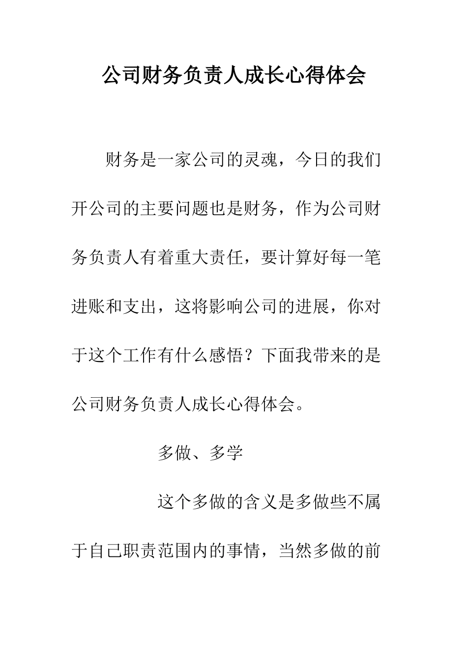 公司财务负责人成长心得体会_第1页