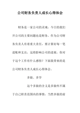 公司财务负责人成长心得体会