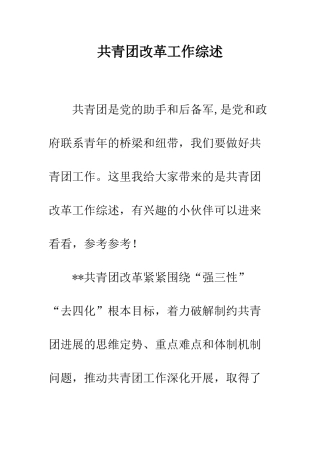 共青团改革工作综述