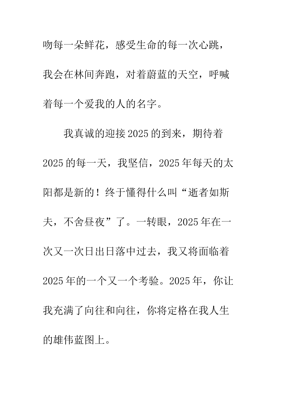 关于元旦的作文展望2025_第2页