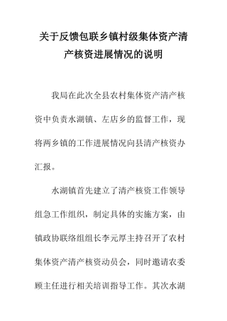 关于反馈包联乡镇村级集体资产清产核资进展情况的说明