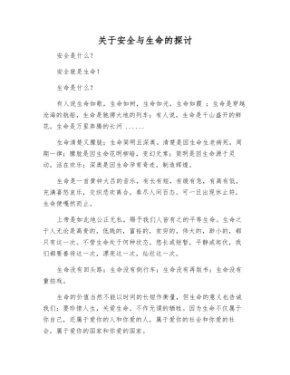关于安全与生命的探讨