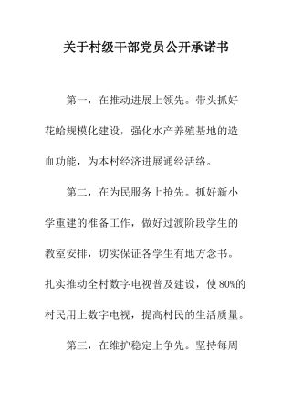 关于村级干部党员公开承诺书