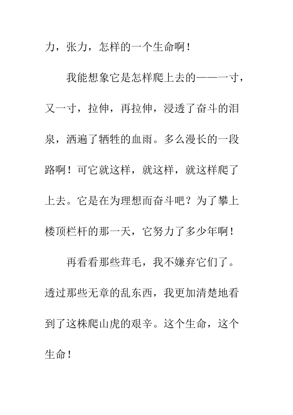 关于梦想的作文正似这株爬山虎_第3页